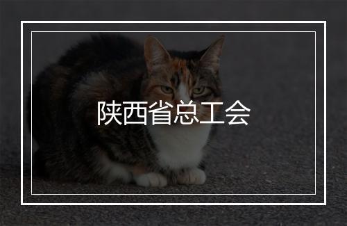 陕西省总工会