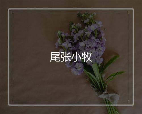 尾张小牧