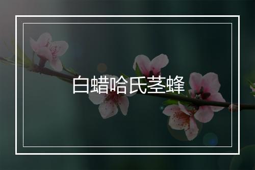 白蜡哈氏茎蜂