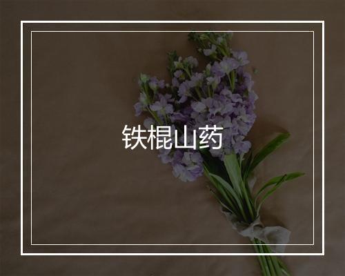 铁棍山药