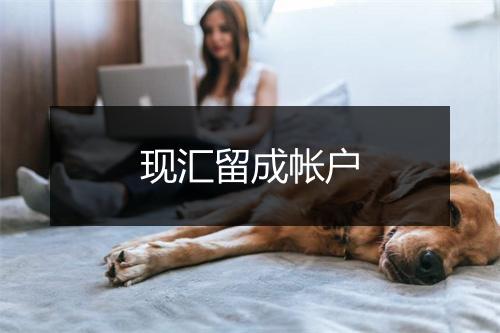 现汇留成帐户