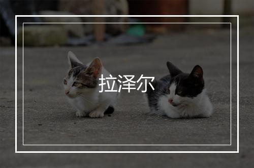 拉泽尔