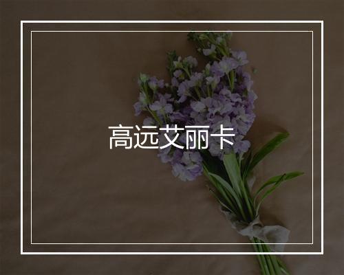 高远艾丽卡