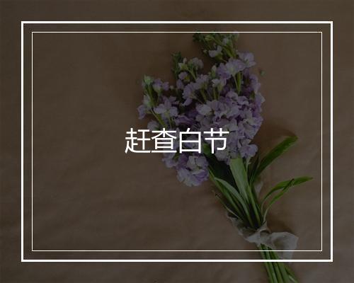 赶查白节