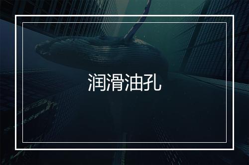 润滑油孔