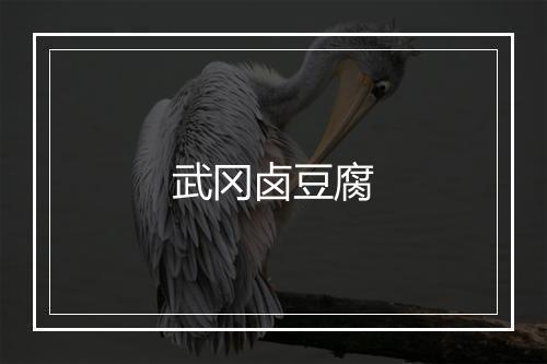 武冈卤豆腐