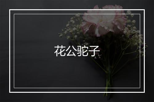 花公驼子