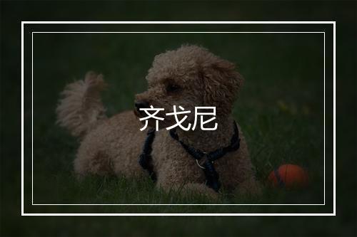 齐戈尼