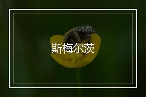 斯梅尔茨