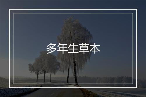 多年生草本