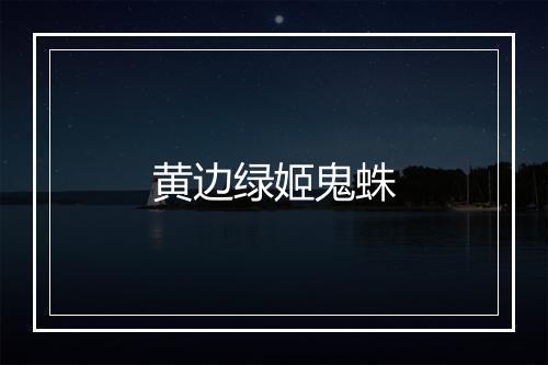 黄边绿姬鬼蛛