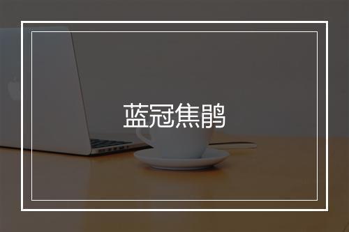 蓝冠焦鹃