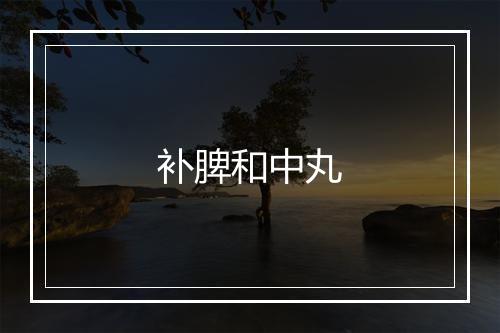 补脾和中丸