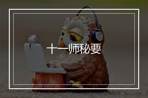 十一师秘要