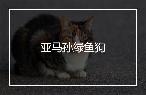 亚马孙绿鱼狗