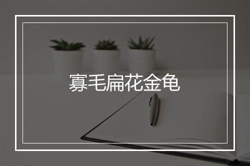 寡毛扁花金龟