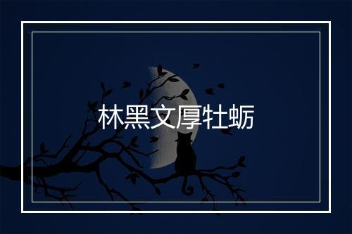 林黑文厚牡蛎