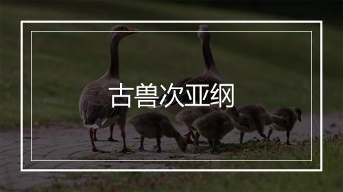 古兽次亚纲