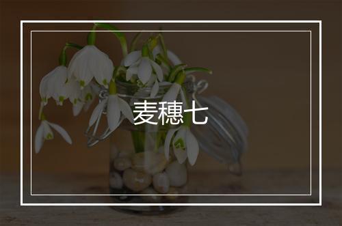 麦穗七