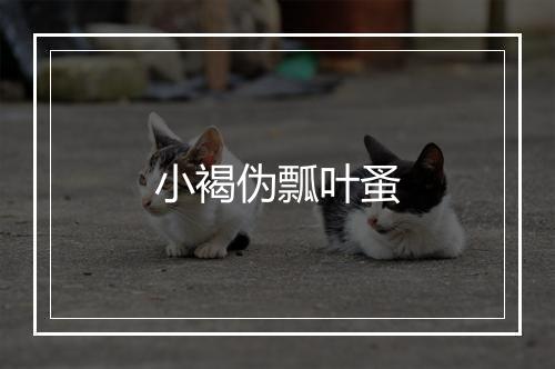 小褐伪瓢叶蚤