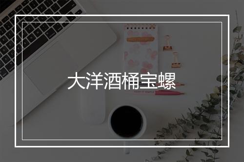 大洋酒桶宝螺