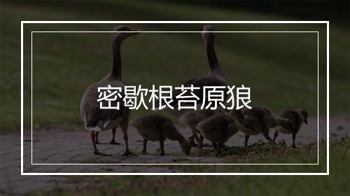 密歇根苔原狼