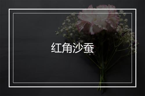 红角沙蚕