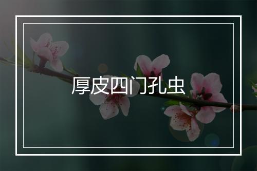 厚皮四门孔虫