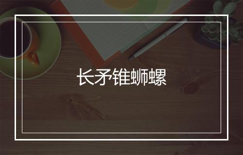 长矛锥蛳螺