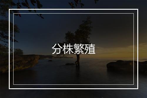 分株繁殖