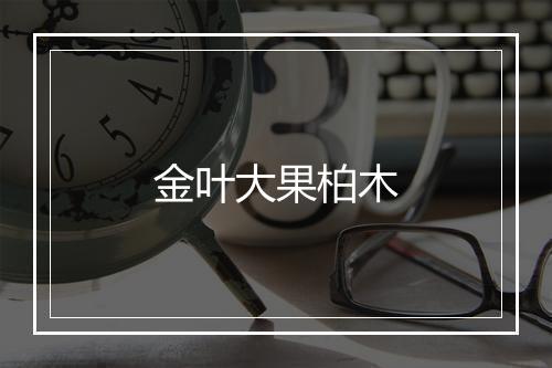 金叶大果柏木