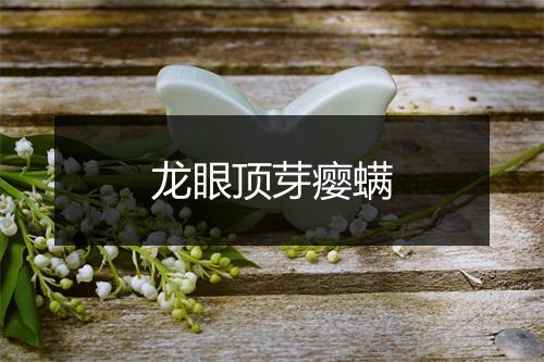 龙眼顶芽瘿螨