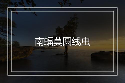 南蝠莫圆线虫