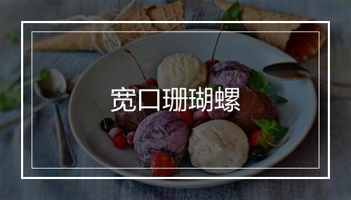 宽口珊瑚螺