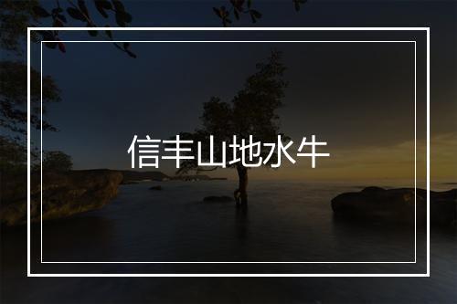 信丰山地水牛