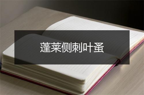 蓬莱侧刺叶蚤