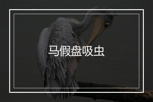 马假盘吸虫