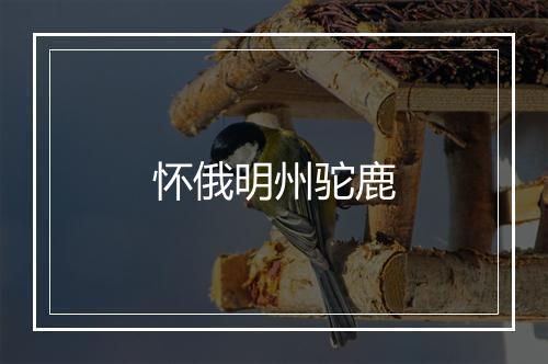 怀俄明州驼鹿