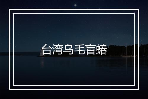 台湾乌毛盲蝽