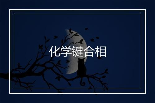 化学键合相