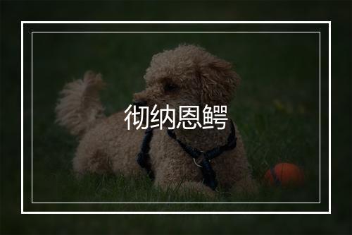 彻纳恩鳄