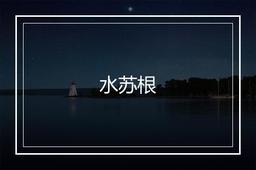 水苏根