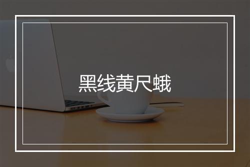 黑线黄尺蛾