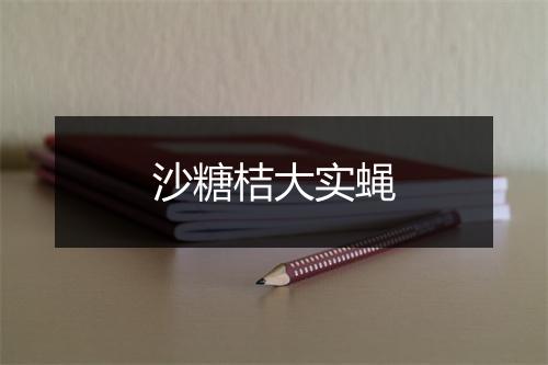 沙糖桔大实蝇