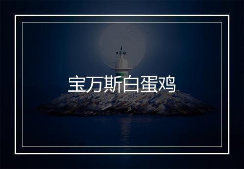 宝万斯白蛋鸡