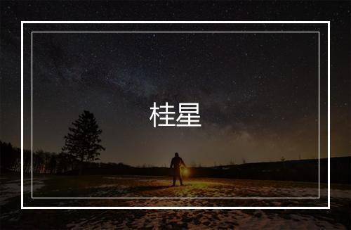 桂星