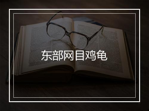 东部网目鸡龟