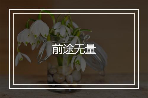 前途无量