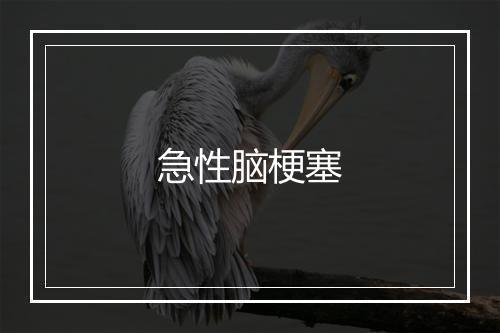 急性脑梗塞