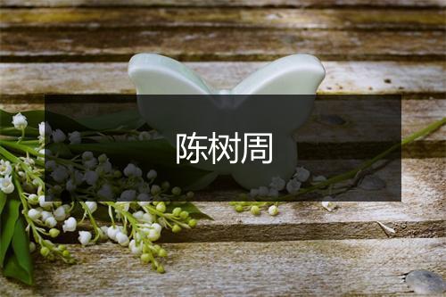 陈树周